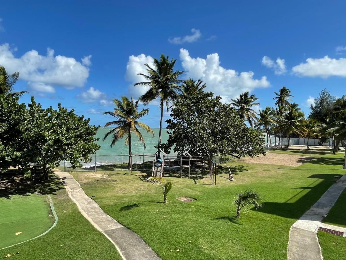 Costa Mar Beach Front Apartment Whith Pool 洛伊萨 外观 照片