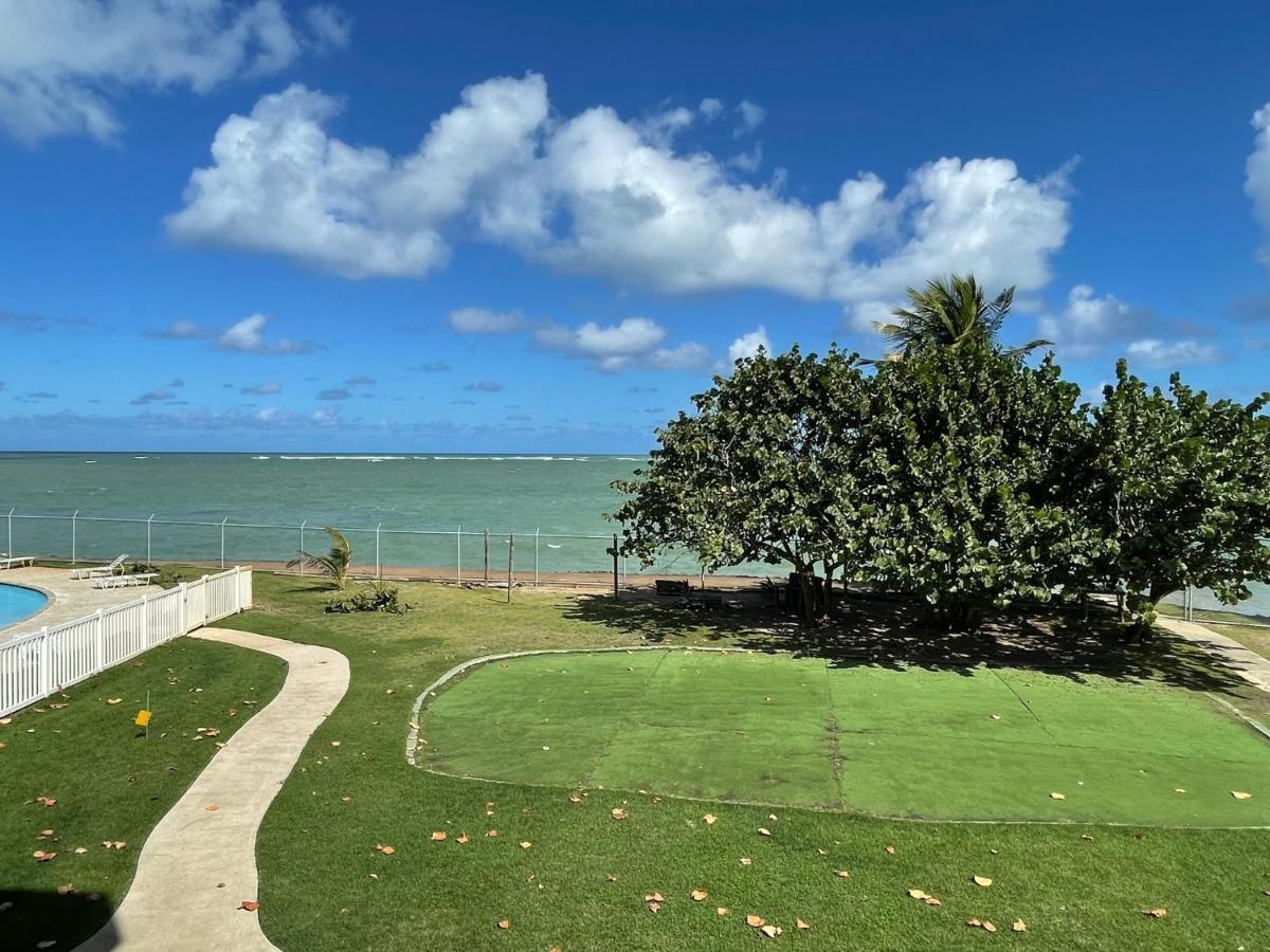 Costa Mar Beach Front Apartment Whith Pool 洛伊萨 外观 照片