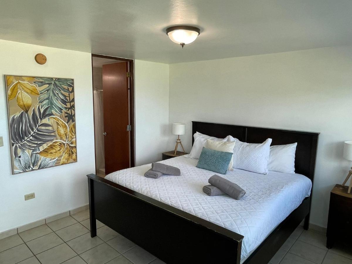 Costa Mar Beach Front Apartment Whith Pool 洛伊萨 外观 照片